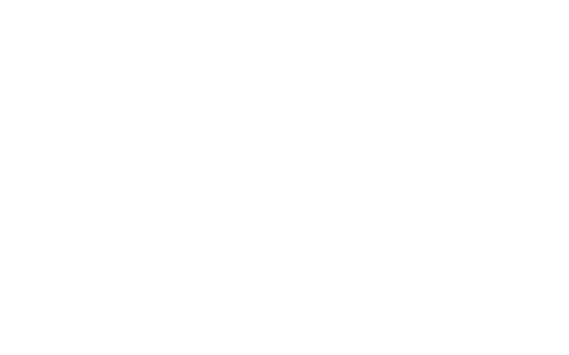 Logo The Butcher